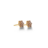Golden Sparkle Zircon Stud Earrings