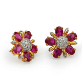 Beautiful Earrings With Zircons and Pink Stones in 925 Silver With Gold Plating