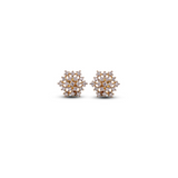 Golden Sparkle Zircon Stud Earrings